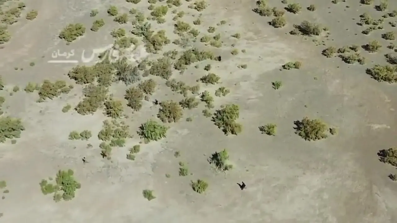 تصاویر محرمانه از ورود مجدد اتباع افغان به کشور + فیلم